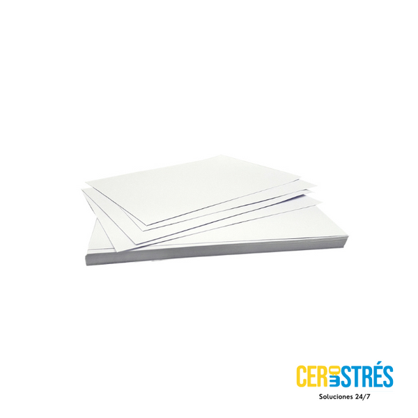 Ficha bibliografica blanca x 50