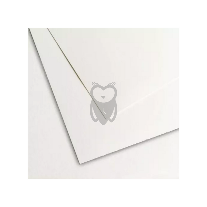 Cartulina blanca bristol x 10 octavos